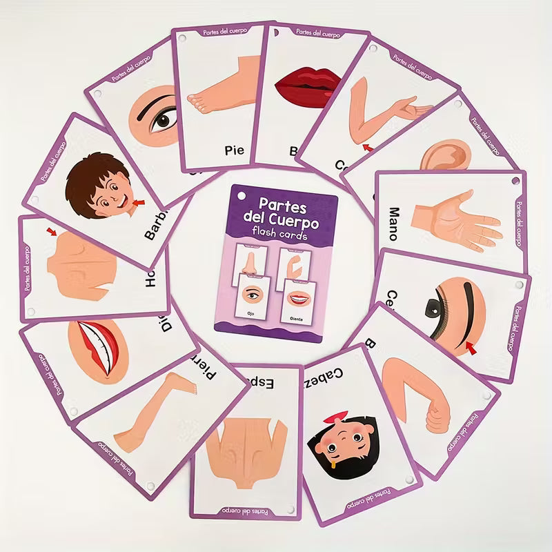 Partes del Cuerpo – Tarjetas educativas para niños