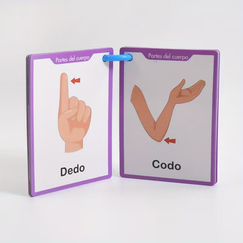 Partes del Cuerpo – Tarjetas educativas para niños