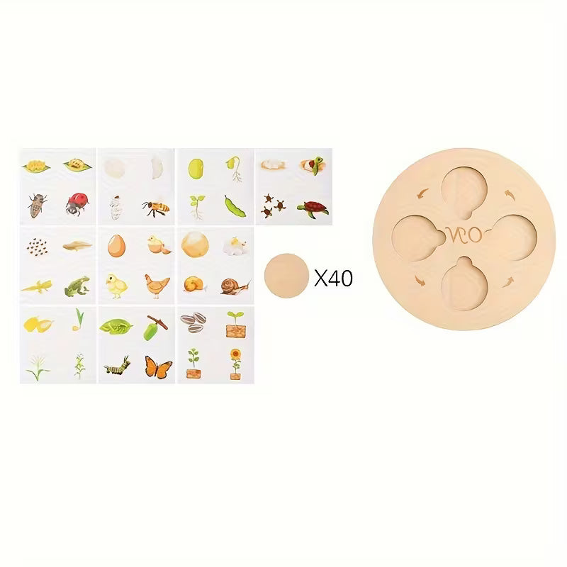 Puzzle Montessori del Ciclo de Vida – Juego Educativo de Madera