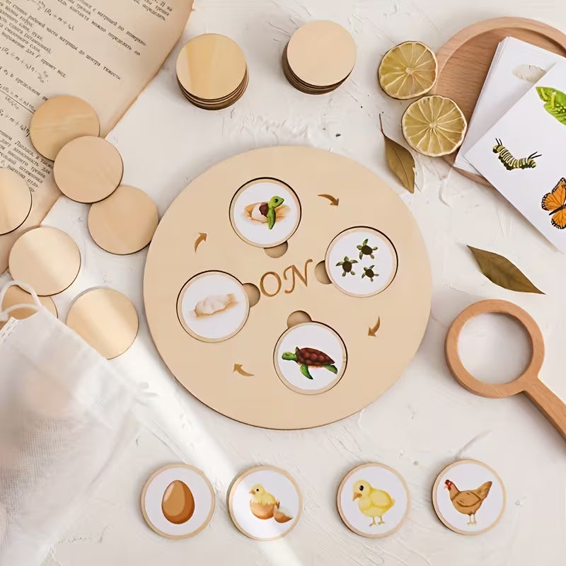 Puzzle Montessori del Ciclo de Vida – Juego Educativo de Madera