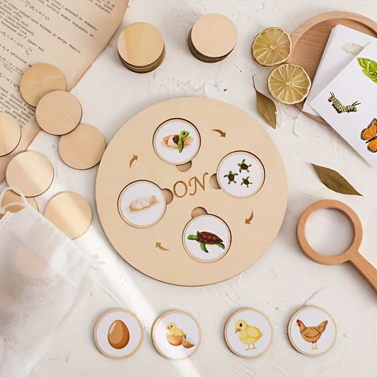 Puzzle Montessori del Ciclo de Vida – Juego Educativo de Madera