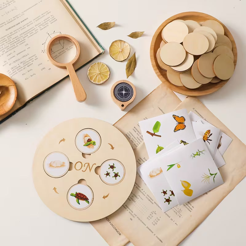 Puzzle Montessori del Ciclo de Vida – Juego Educativo de Madera