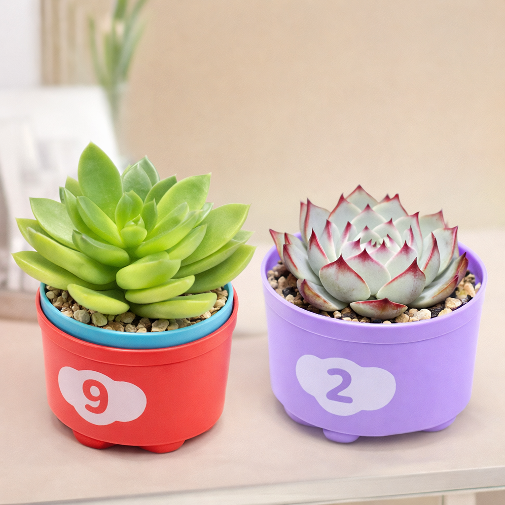Torre de Apilamiento Educativa para Bebés – Desarrollo y Coordinación