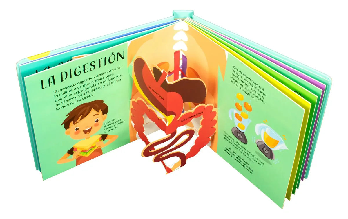 Libro Pop-up: El Cuerpo Humano.