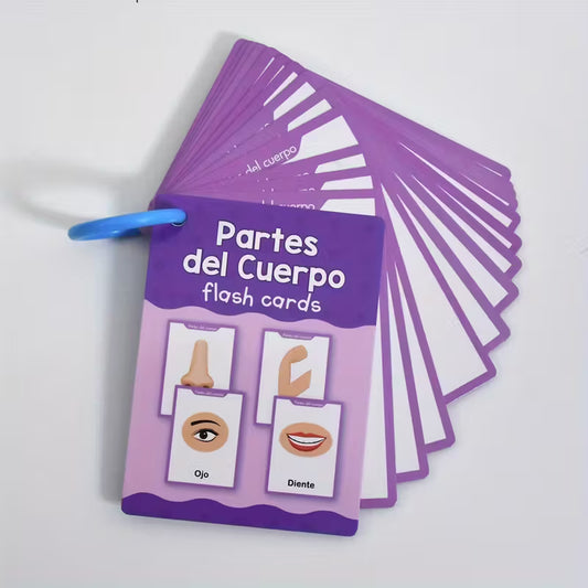 Partes del Cuerpo – Tarjetas educativas para niños