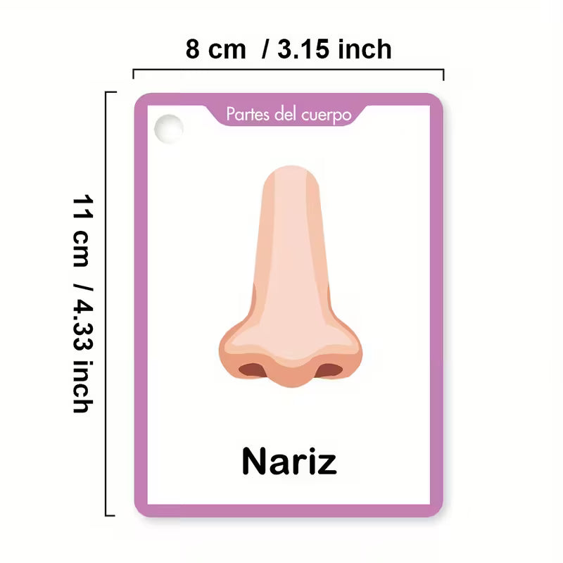 Partes del Cuerpo – Tarjetas educativas para niños