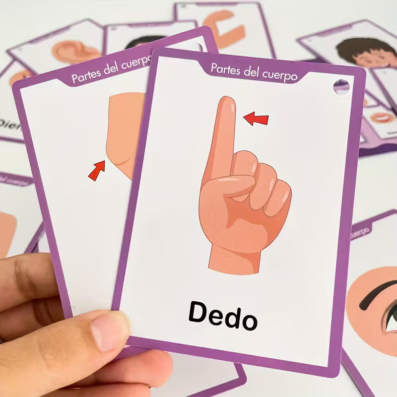 Partes del Cuerpo – Tarjetas educativas para niños